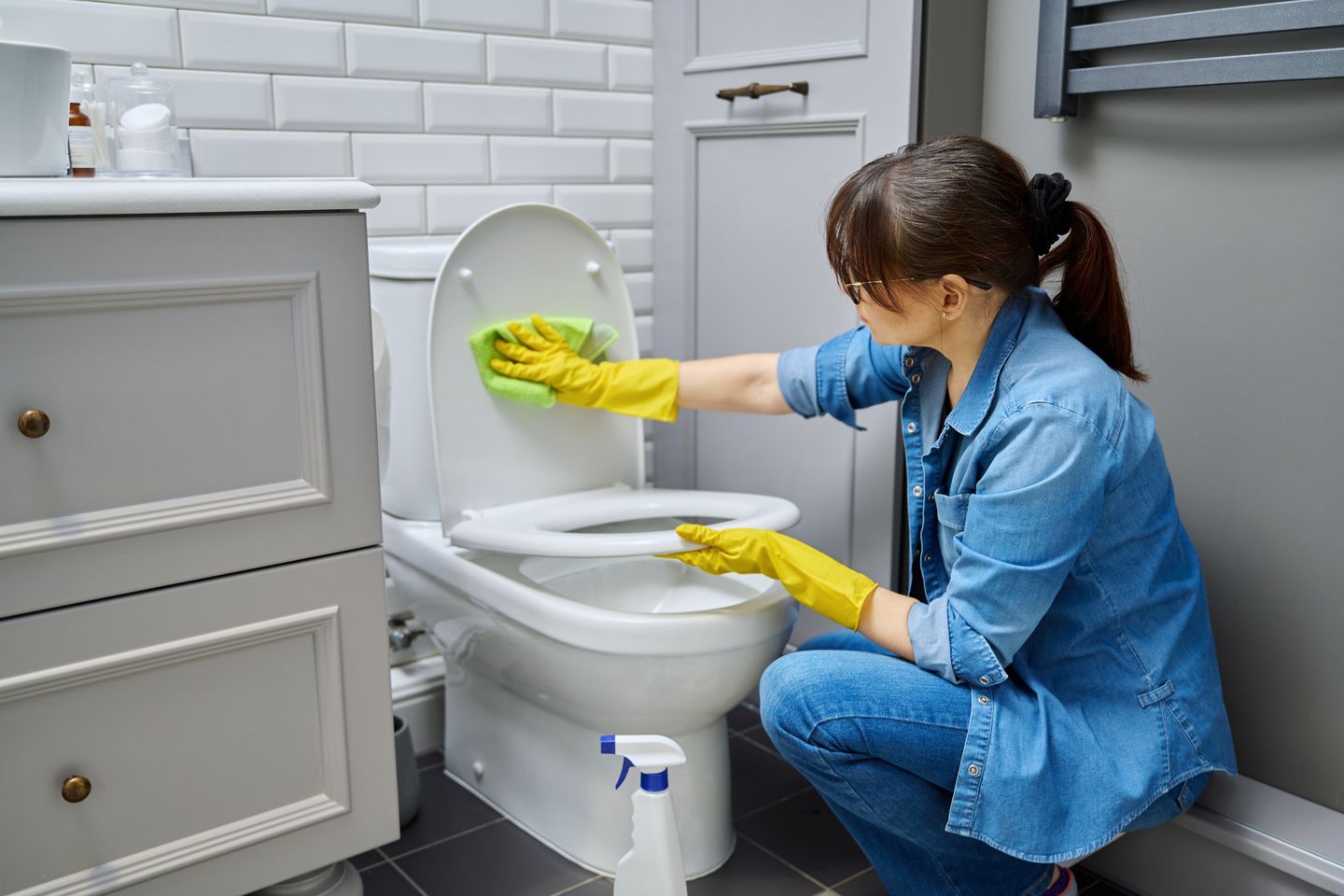 Toilet Sanitization